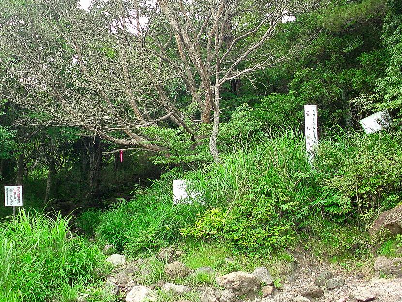 b0177493_20273990.jpg