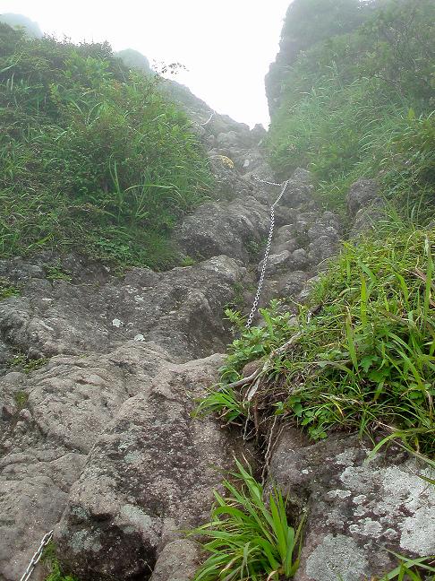 b0177493_20323266.jpg