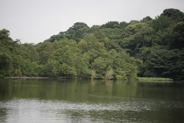 d0133693_2162770.jpg
