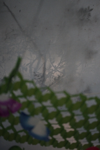 d0133693_2165190.jpg