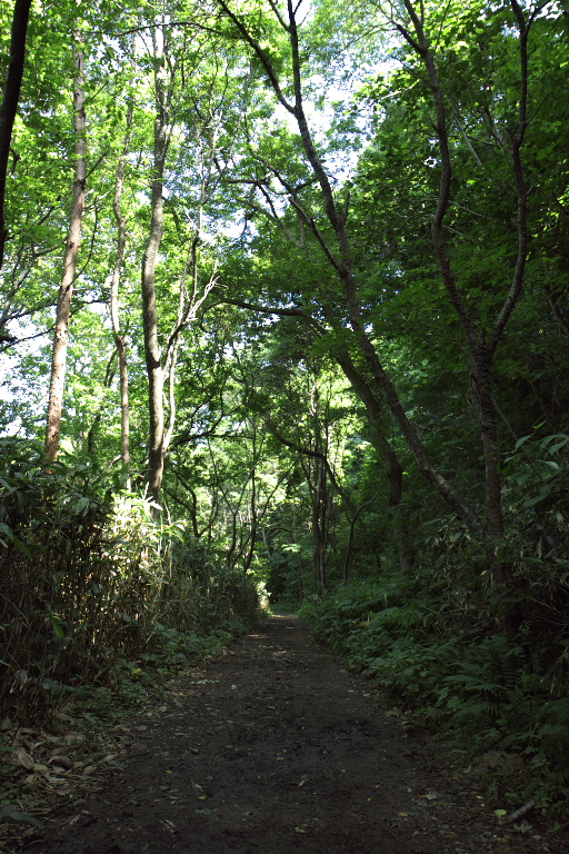 f0002701_9131172.jpg