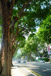c0148705_21142218.jpg