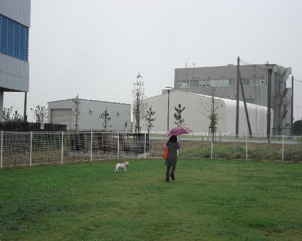 b0148106_9362331.jpg