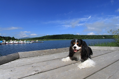 b0072515_226830.jpg