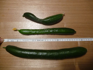 f0182116_12503284.jpg
