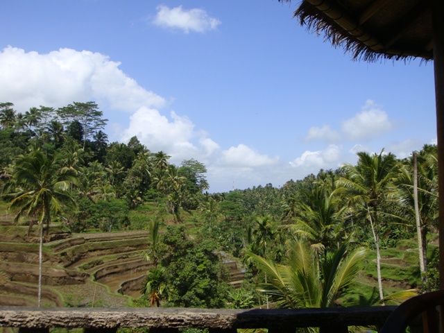 d0005519_2228537.jpg