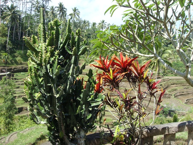 d0005519_2230115.jpg