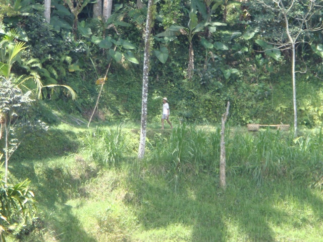 d0005519_22311135.jpg