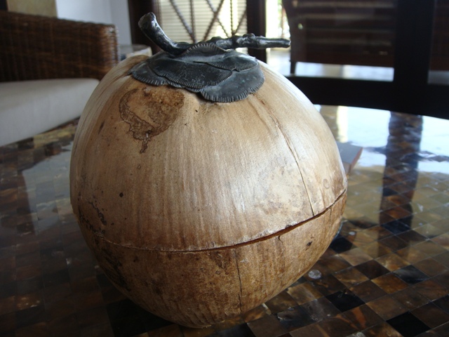 d0005519_22442933.jpg