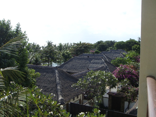 d0005519_2257235.jpg