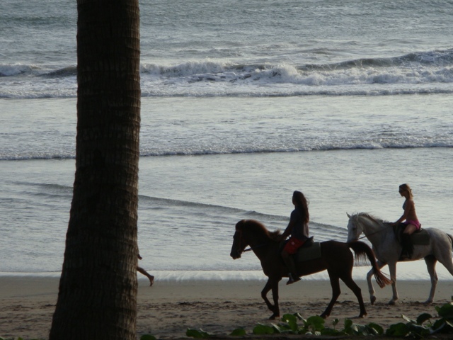 d0005519_232386.jpg