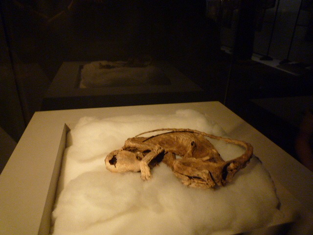 e0178121_2482882.jpg