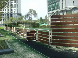 f0011322_22145025.jpg