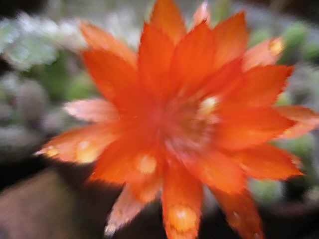 f0031722_11463268.jpg