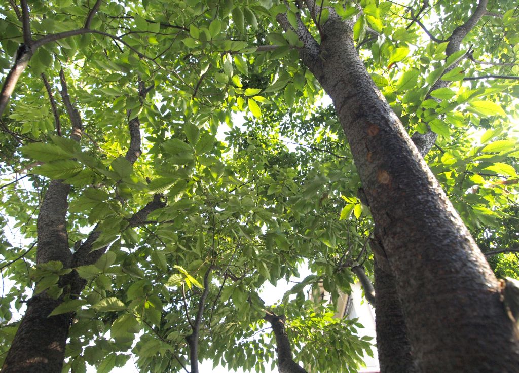 d0130826_10192956.jpg