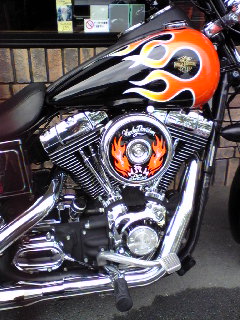 a0099129_185275.jpg
