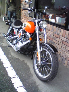 a0099129_1855890.jpg