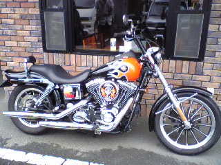 a0099129_18587.jpg