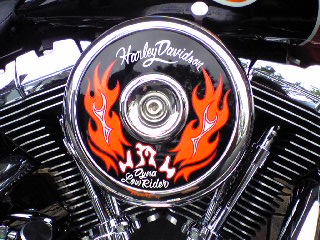 a0099129_186954.jpg