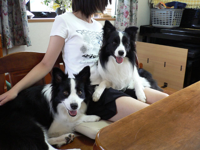 d0059230_101343.jpg