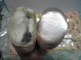 c0023937_21345636.jpg
