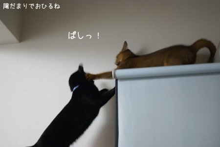 c0132438_2224161.jpg