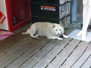 d0060038_18364327.jpg