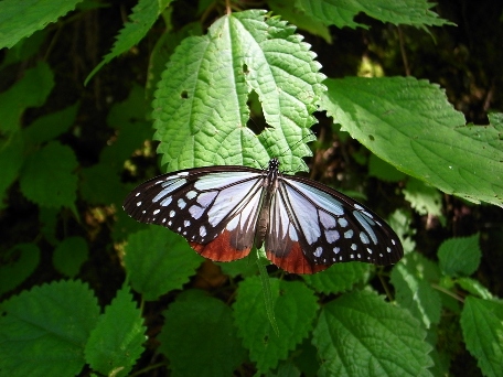 e0188939_2217073.jpg