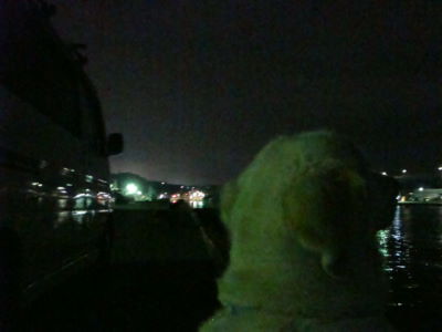 e0158841_14134236.jpg