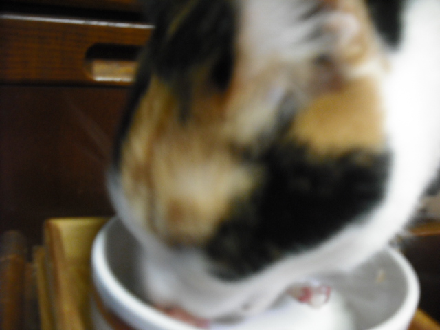 c0194042_22124255.jpg