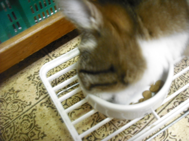 c0194042_22132483.jpg