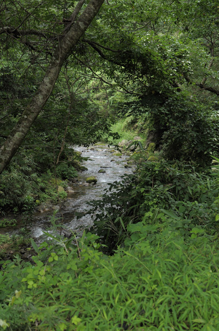d0093043_12361815.jpg