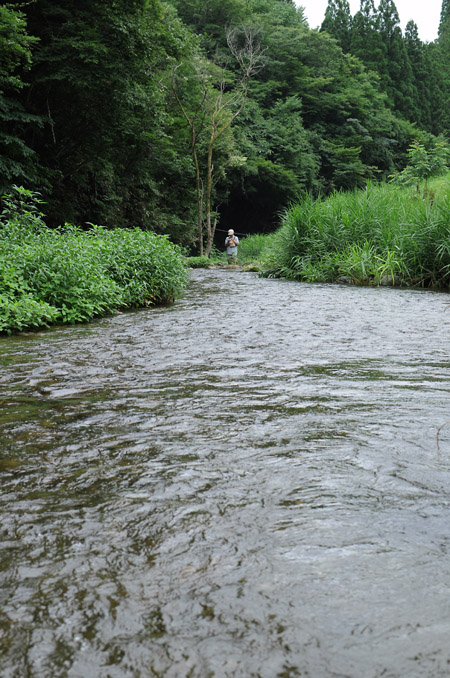 d0093043_12363643.jpg