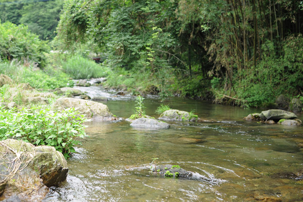 d0093043_12365673.jpg