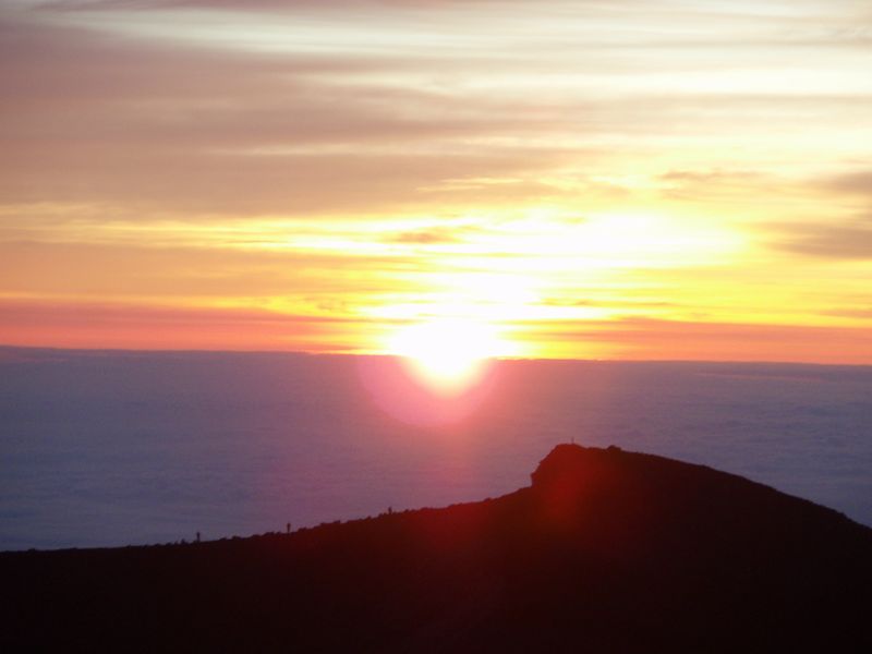 d0151144_7591940.jpg