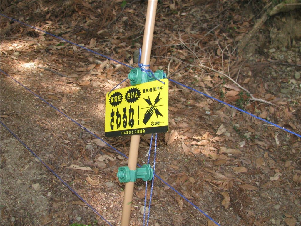 f0151044_7172556.jpg