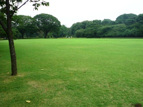 d0036951_1351961.jpg