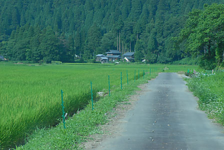 c0145453_23172550.jpg
