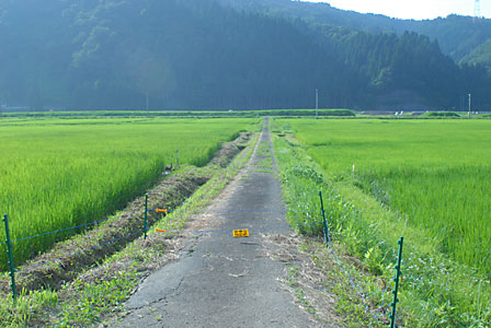 c0145453_23283255.jpg