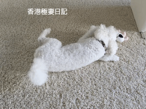 f0190653_116575.gif