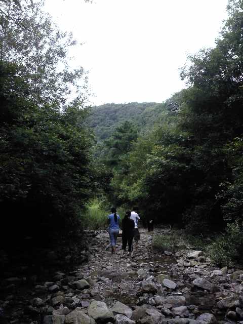 e0186656_22264767.jpg