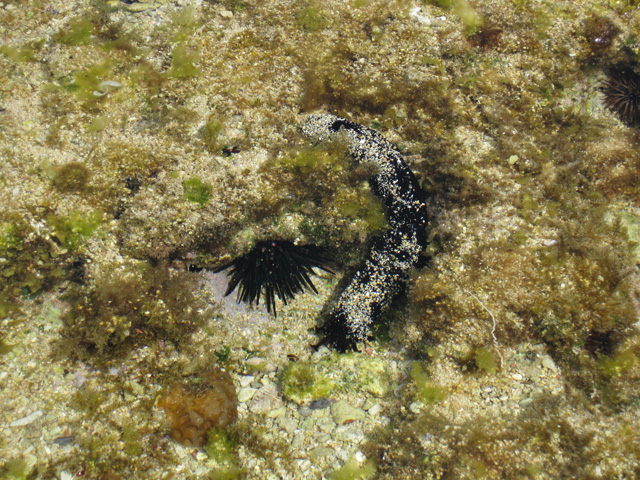 f0183656_231783.jpg