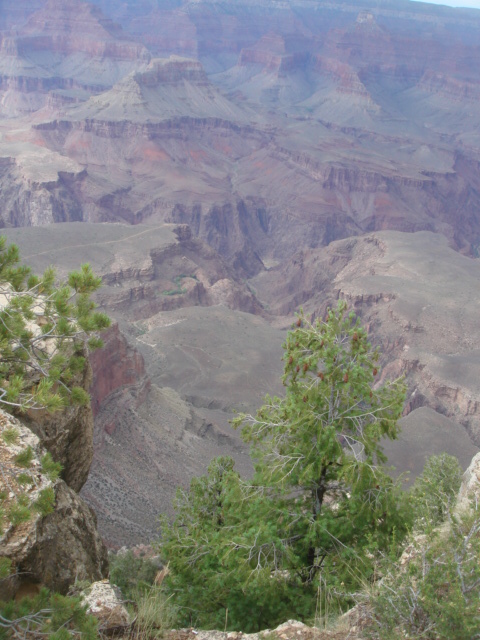 e0037367_13374615.jpg