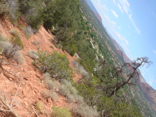 e0037367_13403121.jpg