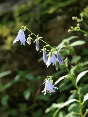 d0025568_1772552.jpg