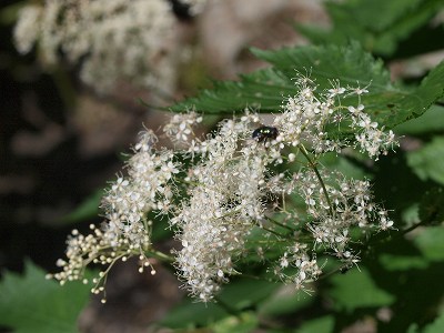d0025568_19291288.jpg