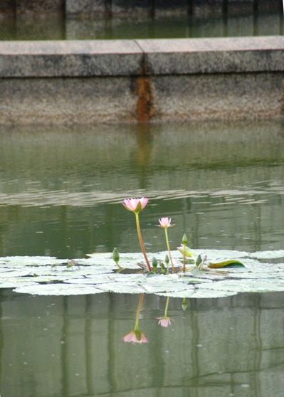 f0065768_18153872.jpg