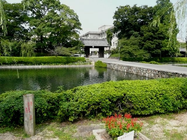 f0127675_418192.jpg