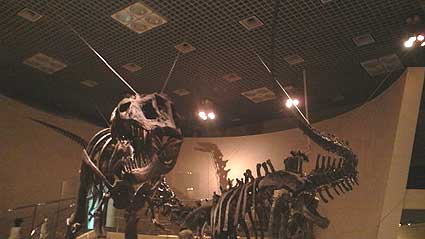 a0036780_2156085.jpg