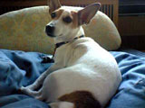 c0032392_10103245.jpg